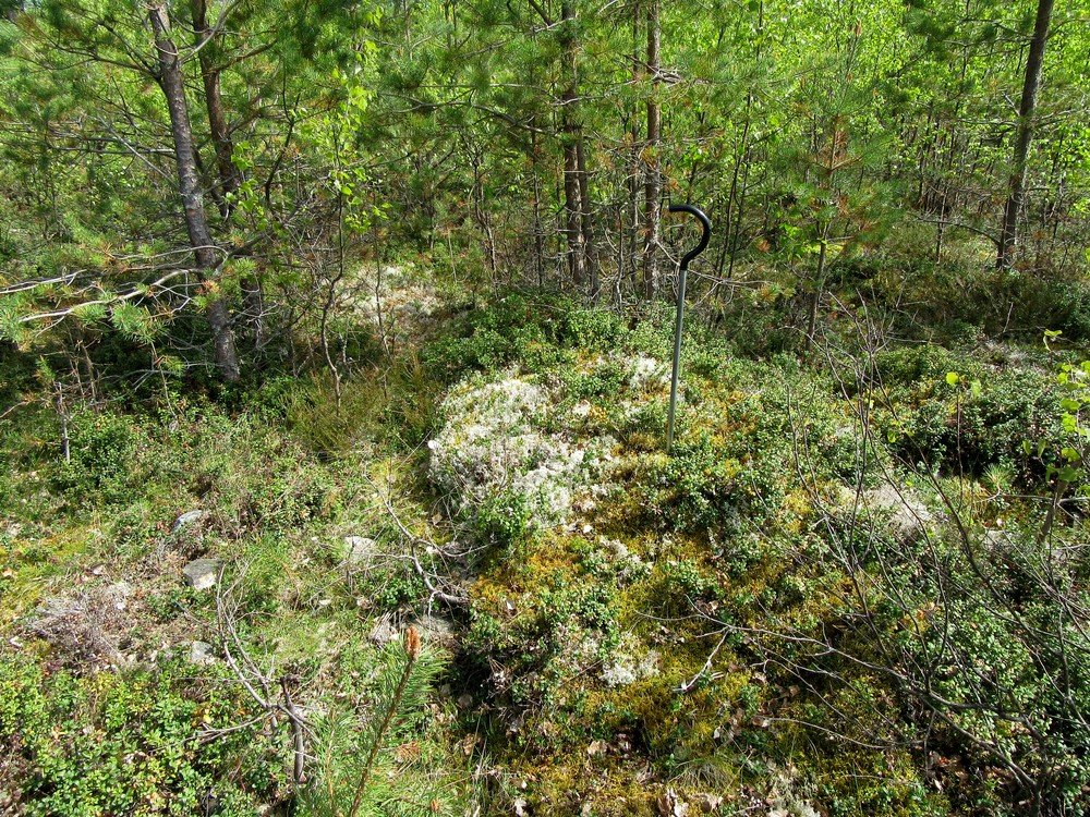 14 2. Maitolampinkangas 2 Mj-rekisteri: Laji: Mj-tyyppi: Tyypin tarkenne: Ajoitus yleinen: Ajoitustarkenne: Lukumäärä: Rauhoitusluokkaehdotus: Paikkatiedot: Karttalehti: uusi kohde kiinteä