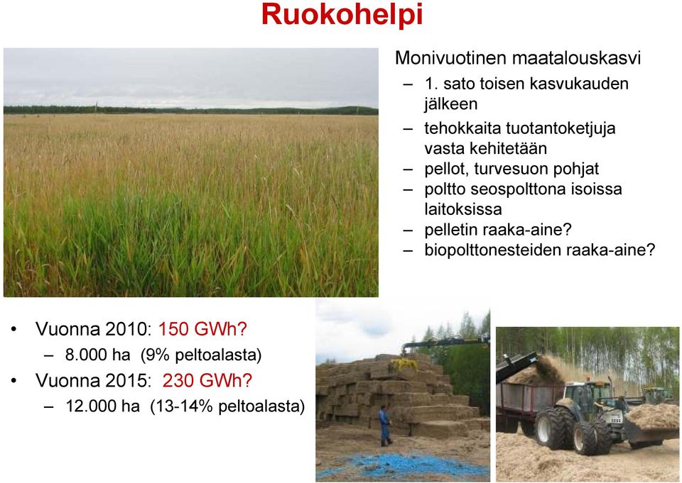 turvesuon pohjat poltto seospolttona isoissa laitoksissa pelletin raaka-aine?