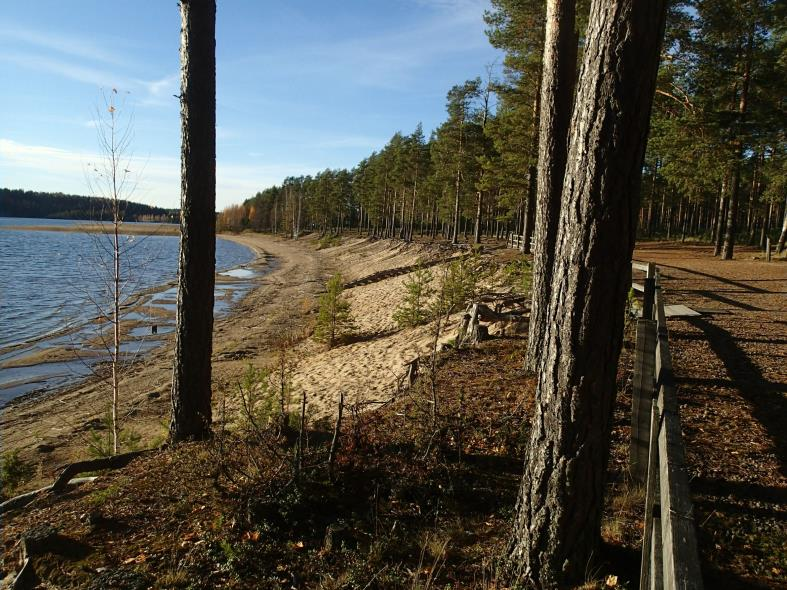 7 Muinais-Saimaan korkeimman rannan kivikkovyötä - rantavallia alueen länsireunalla.