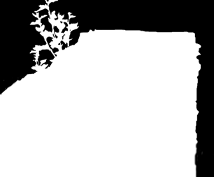 Metsäntutkimus 1/2008 Vesakot kuriin ja maisema esiin K: Kansallismaisemamme on viime vuosina pusikoitunut silminnähden.