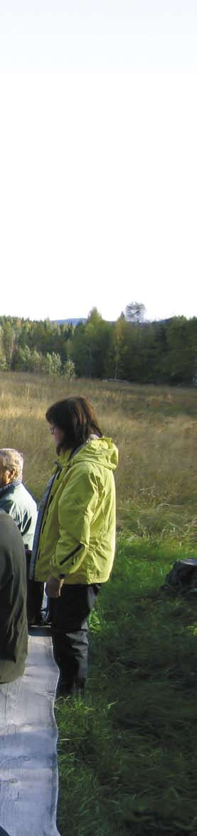 Metsäntutkimus 1/2008 Metla/Leena Kärkkäinen Suomen ensimmäinen paikallinen metsäohjelma valmistui joulukuussa 2007.