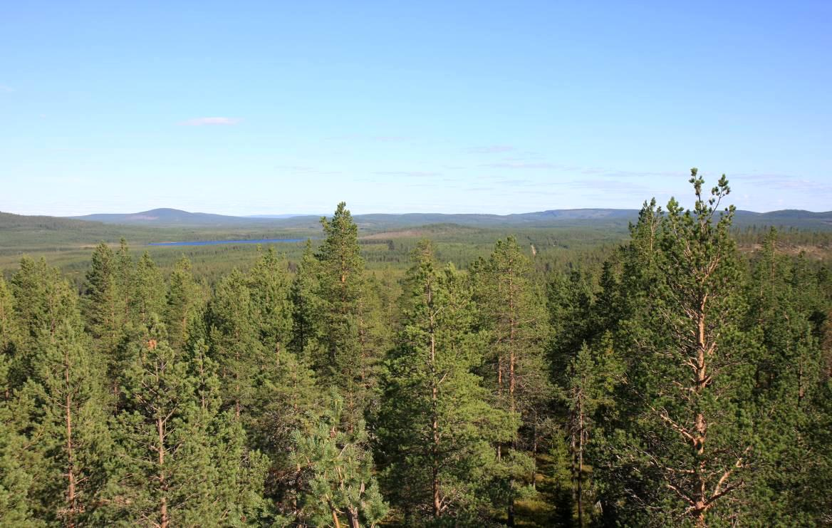 tai maisemakuvan muutoksilla ei arvioida olevan merkittäviä heikentäviä vaikutuksia.