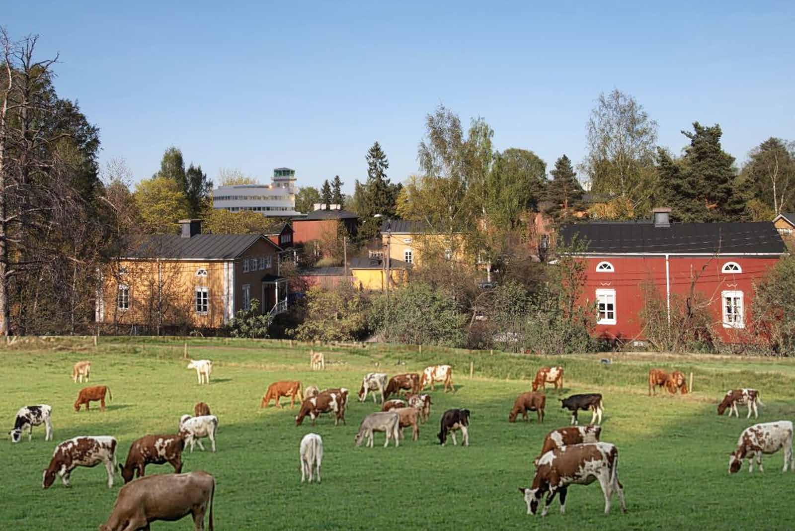 malmin työhuone, tiistai 1.9.