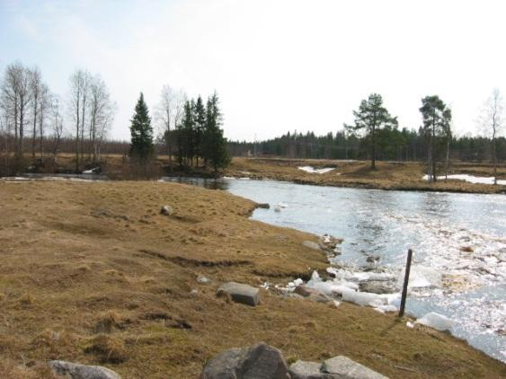 Luonnon- ja maisemanhoidon periaatteita erityistukisopimuksissa Hoito monipuolistaa ja parantaa kohdetta Hoito tukee paikallista kulttuuriperinnettä Sopimusaluetta ei saa metsittää, ojittaa,