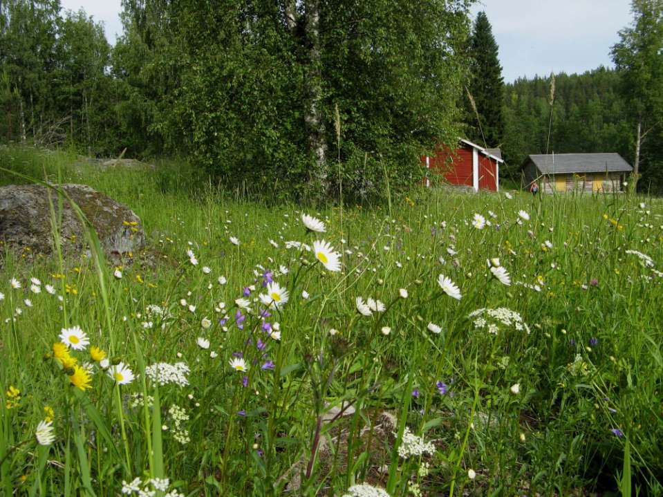 Esimerkkejä erilaisista