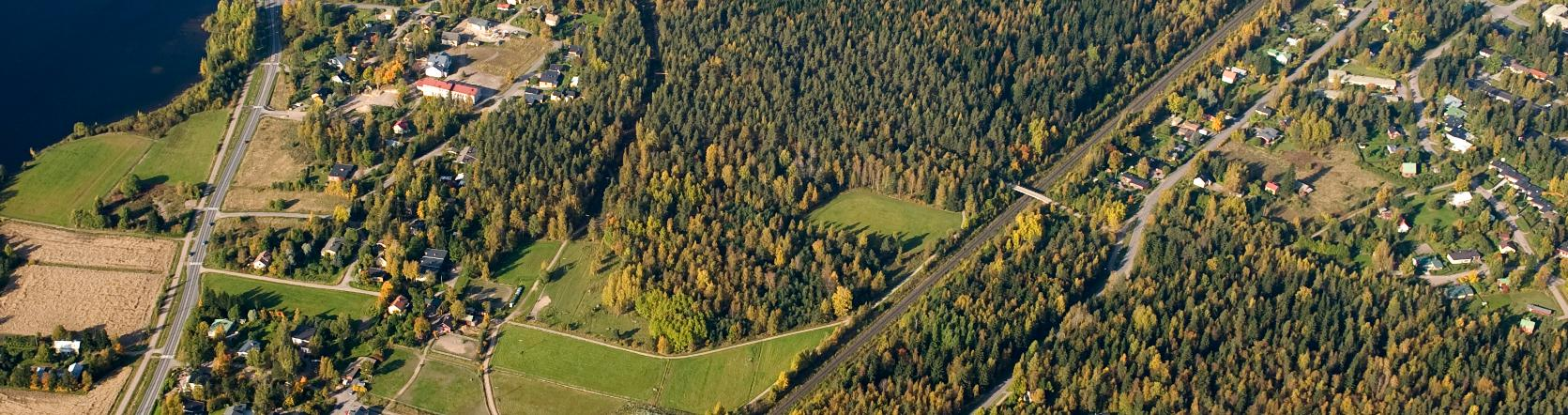 Itä-Siitola - Kartanonkadun omakotitontit Tavoite: - tonttirakenteen muutos