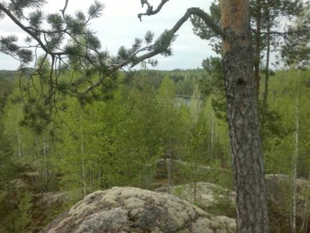 Metsien, soiden ja lajien suojelu turvaavat luonnon monimuotoisuutta Toiminnan tulokset Natura 2000-alueiden, perustettujen luonnonsuojelualueiden sekä kaavojen suojeluvarausten luontoarvot on