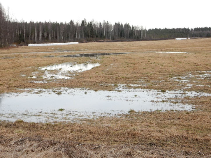 Pellon riittämätön kuivatus, maan heikko