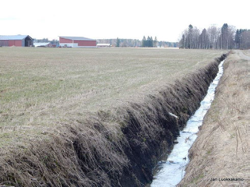 Maan rakenteen hoito - kuivatus Valtaojat (vesi pois peltoalueelta) Piiriojat Salaojitus Toimivuus (laskuaukot, huuhtelu) Riittävyys