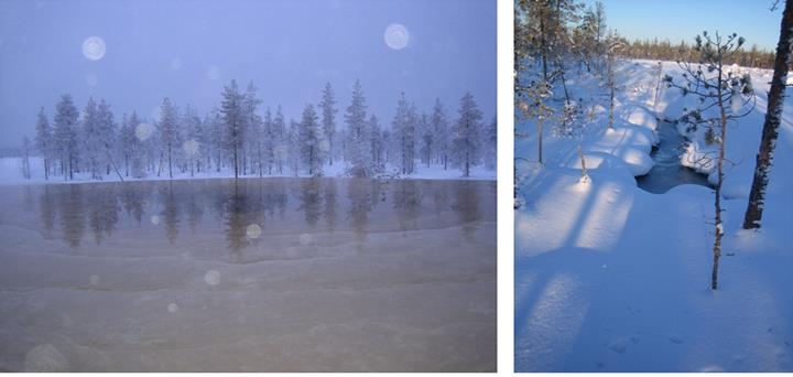 Kosteikkojen talviaikainen toiminta Pidättyykö ravinteet kosteikkoihin talvella ja muuttuvatko virtausreitit?