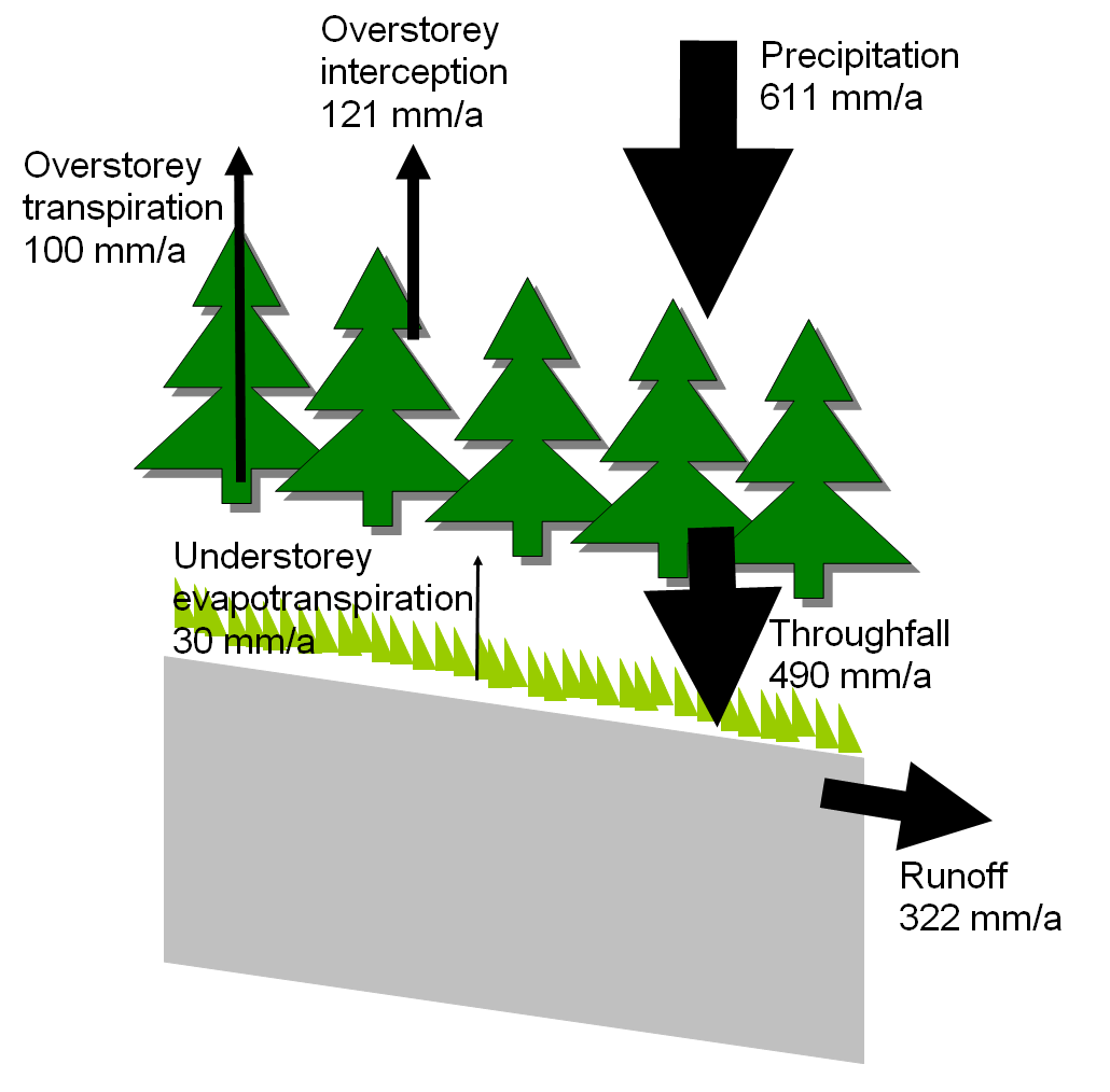 Metsätaloustoimenpiteiden vaikutukset vesi- ja ravinnevirtoihin Vaikutus vesitaseeseen: Valunta=Sadanta - Haihdunta ± Vesivaraston muutos Avohakkuu: lisää vuosivaluntaa, metsikkötasolla max.