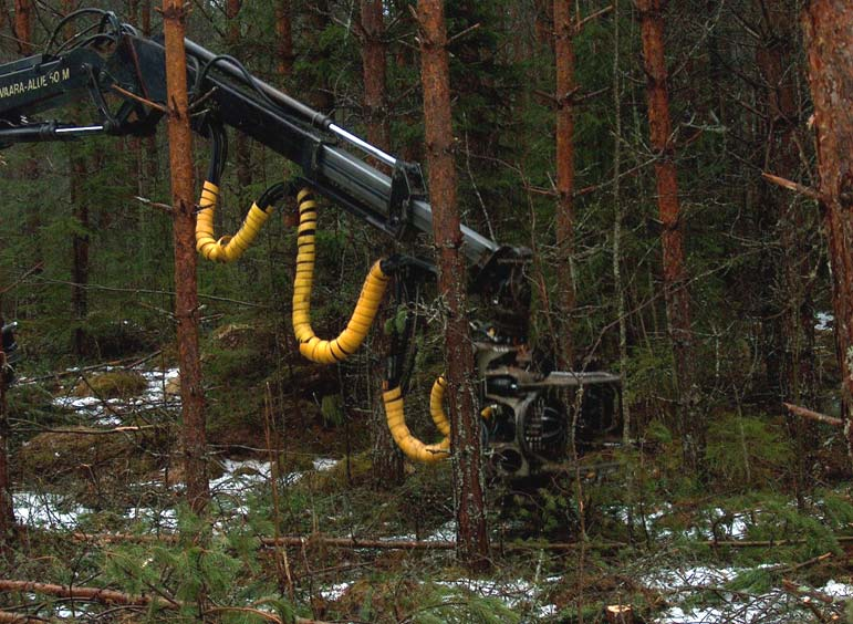 Tutkimustehtävät Metsäteho Oy:n ja Joensuun yliopiston yhteistutkimuksessa: 1. listattiin esitetyt puunkorjuun tehostamiskeinot pieniläpimittaisen puun korjuussa nuorissa metsissä ja 2.