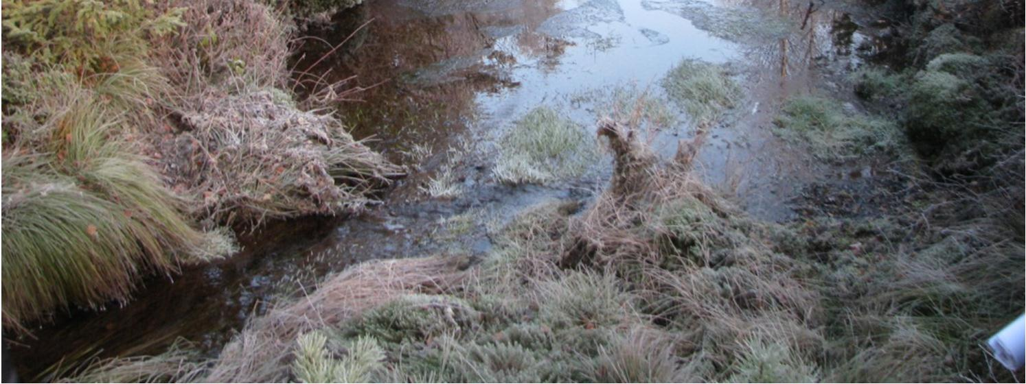 sieltä pois. Kaivuun lopuksi ympäristö muotoillaan ja maisemoidaan ja kaivumaat tasoitetaan. Altaan kaivumaita ei kuitenkaan saa kasata tulvaalueelle. (Joensuu, Makkonen & Matila 2007, 31.