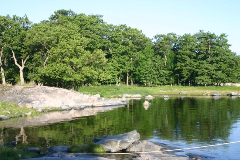 Mitä pitäisi sisältyä inventointeihin merialueiden suunnittelussa? Luonnonsuojelulain luontotyypit Kansalliset uhanalaiset luontotyypit Natura-verkoston alueilla on suojeltu mm.