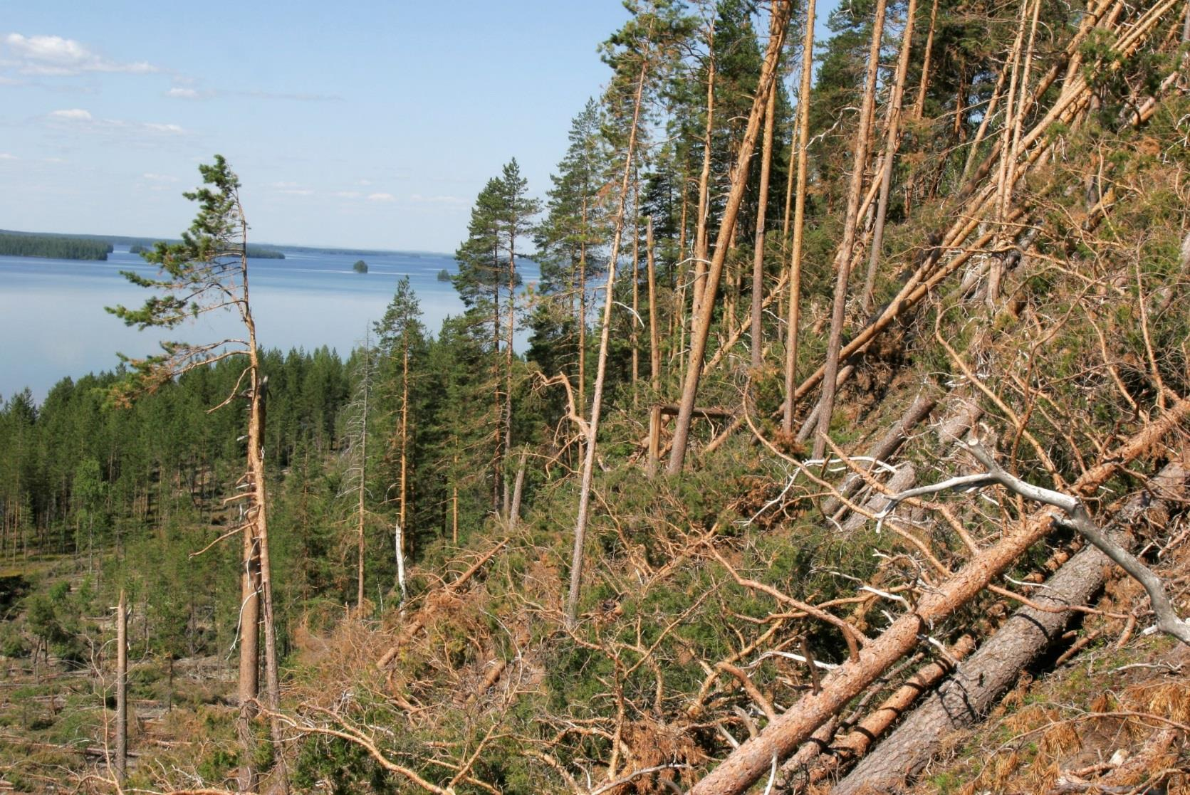 Pinnanmuodot ja maapeite vaikuttavat