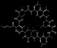 Muutamia esimerkkejä sienten tuottamista bioaktiivisista yhdisteistä ja lääkeaineista HO O NH 2 O H NH