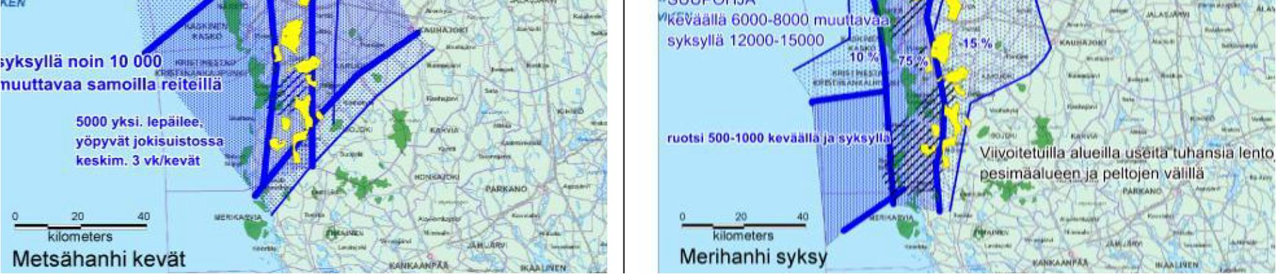 115 Kuva 84. Metsähanhen ja merihanhen päämuuttoreitti Pohjanlahden rannikolla, Uttermossan hankealueen sijainti osoitettu punaisella pisteellä.