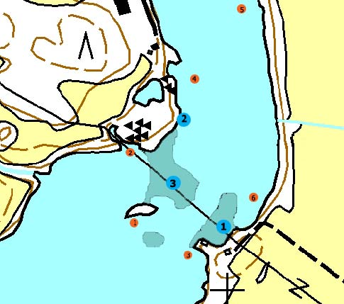 Liite 2. Verkkokoekalastuksen (punaiset pisteet) ja sähkökoekalastuksen (siniset pisteet) näytteenottopisteet Kilpikoskella vuonna 2007.