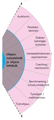 23 (82) KUVIO 12. Ohjausmenetelmät ja ohjaustehtävät (mukaillen Hätönen 2003, 58). Auditointi Auditoinnin avulla tarkastellaan onko toiminta tavoitteiden mukaista eli onko tehty sitä, mitä on luvattu.
