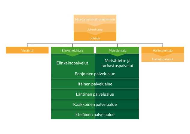 7 2 SUOMEN METSÄKESKUS 2.1 Yleistä Suomen Metsäkeskus on Maa- ja metsätalousministeriön alainen organisaatio, jonka toiminta perustuu lakiin Suomen Metsäkeskuksesta.