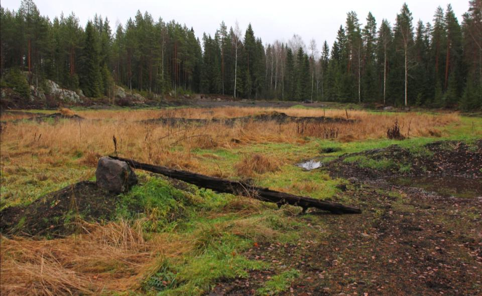 Saarien ja lepäilypaikkojen rakentaminen Keloja ja maaliekopuita aseteltiin erityisesti saarien