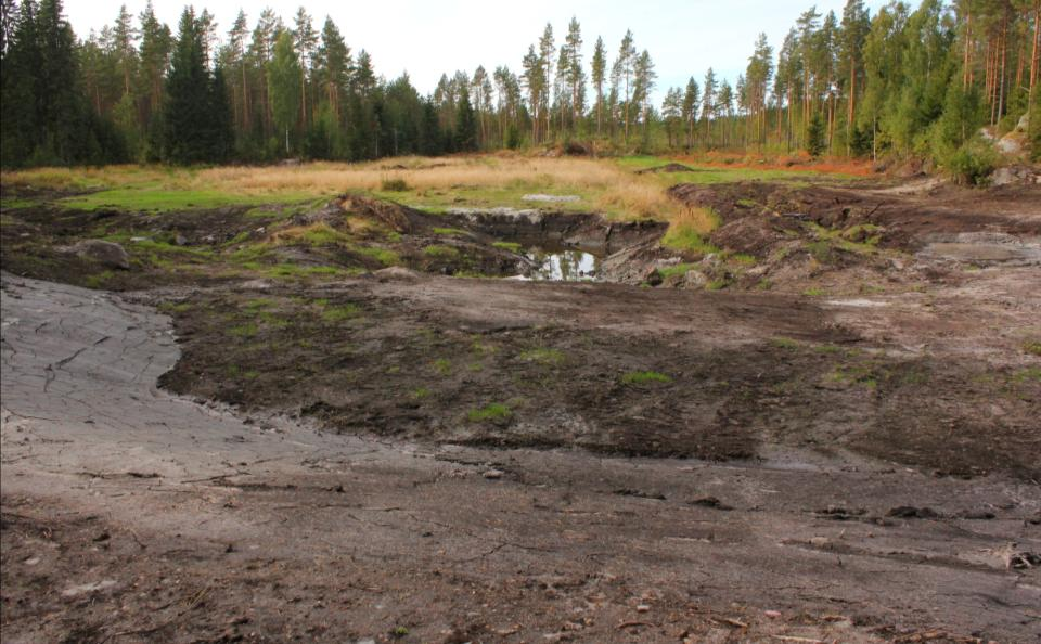 Kuva patopenkereeltä kosteikkoalueelle 29.08.