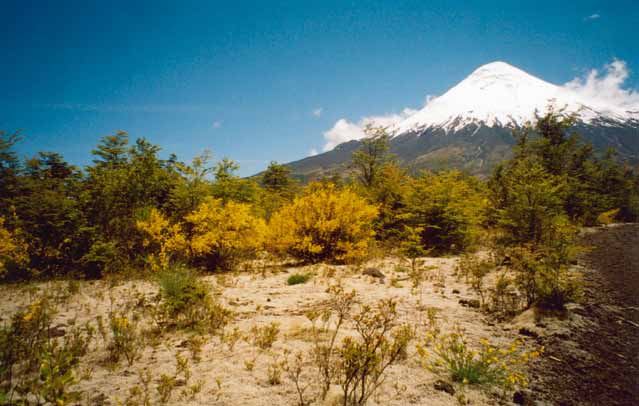 Vulkaaniline maastik Tšiilis. Foto: Ain Kull. külastatakse. Sihtrühmad on erinevad: leidub nii ajalooliselt hästi säilinud kui ka modernsete tehismaastike huvilisi.
