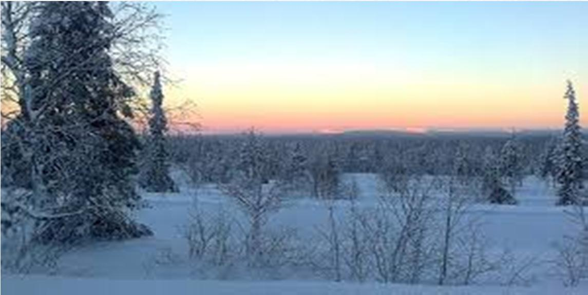 Kiitos!