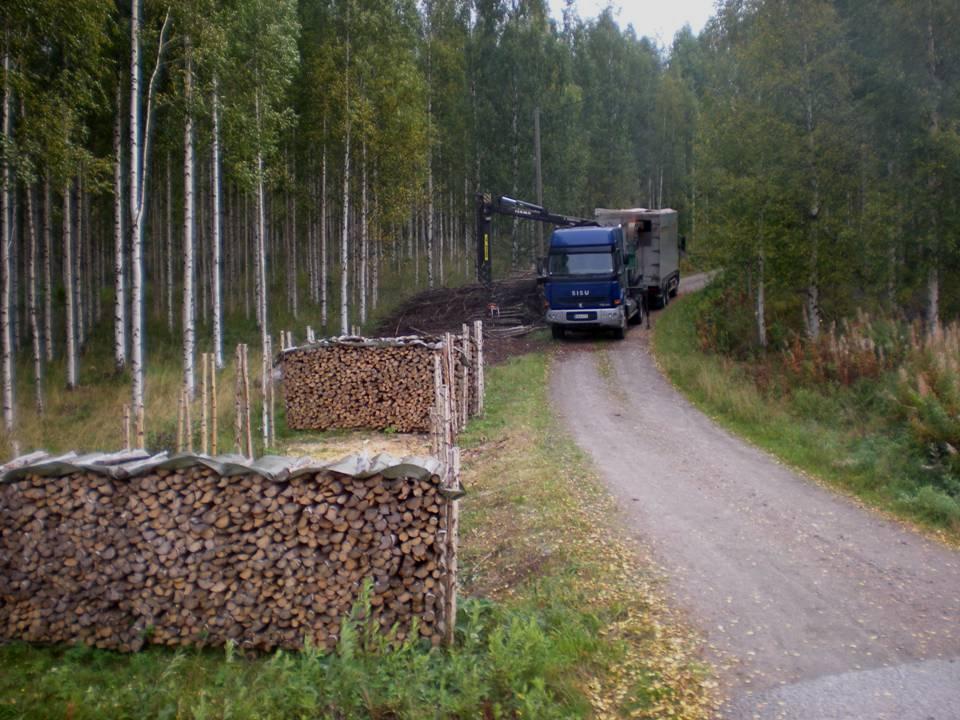 Metsäenergian haasteet ja tulevaisuuden näkymät Antti Asikainen, Metla Kehittyvä metsäenergia seminaari 16.