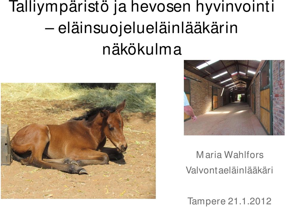 eläinsuojelueläinlääkärin