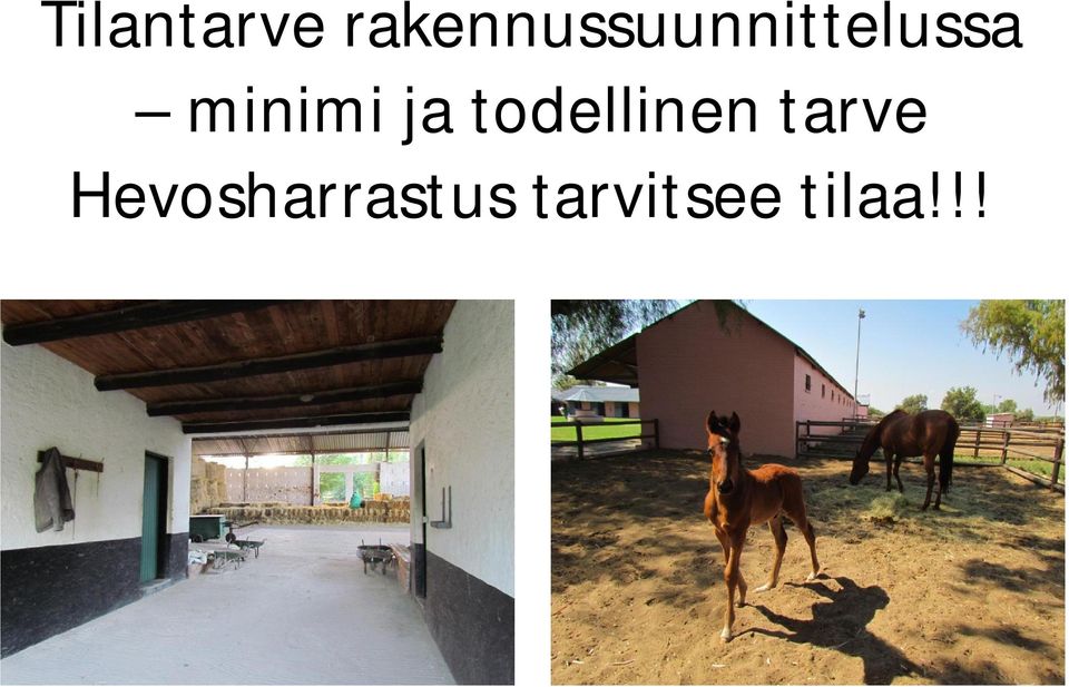 minimi ja todellinen