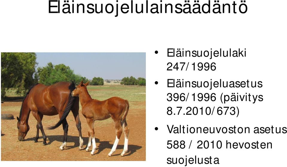 Eläinsuojeluasetus 396/1996 (päivitys