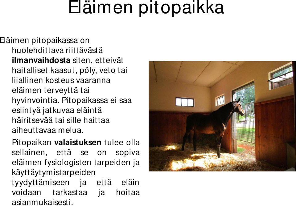 Pitopaikassa ei saa esiintyä jatkuvaa eläintä häiritsevää tai sille haittaa aiheuttavaa melua.