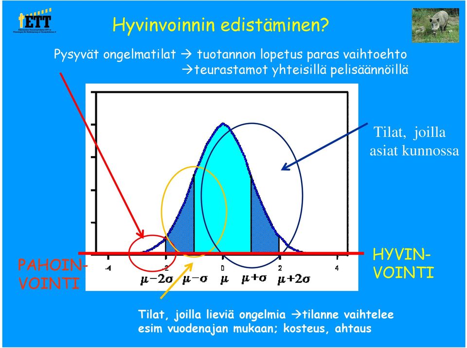 teurastamot yhteisillä pelisäännöillä Tilat, joilla asiat kunnossa