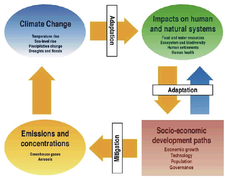 Anthropogenic climate change an