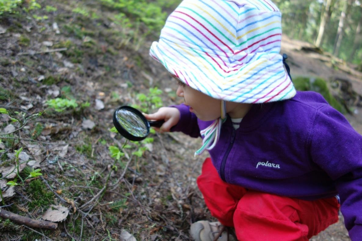 Luontoon yhdessä Yhteiseurooppalaiset teemavuodet, vuonna 2017 Heritage and nature Juhlitaan koko vuosi, huipennus 26.8.-10.9.