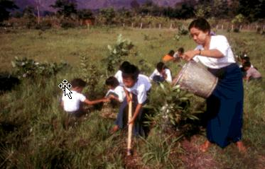 Gender and Climate Change Project objectives Examine links between climate change and gendered changes in agricultural practices to ensure food security. Pilot study in India.