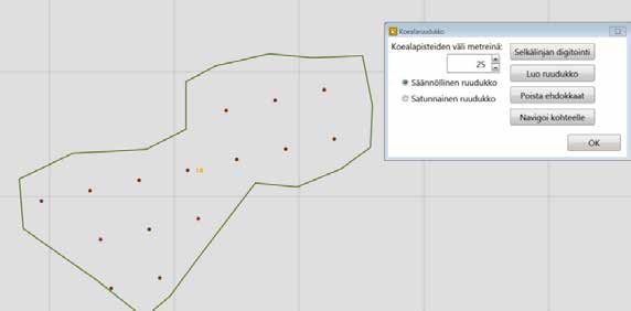 2. Koealojen sijoittaminen edustaviin kohtiin Mikäli kohteen systemaattinen mittaus ei ole tarpeen tarkastettavan lain edellytysten määrittämiseksi (ei rajatapaus), voidaan kuvion tiedot määrittää