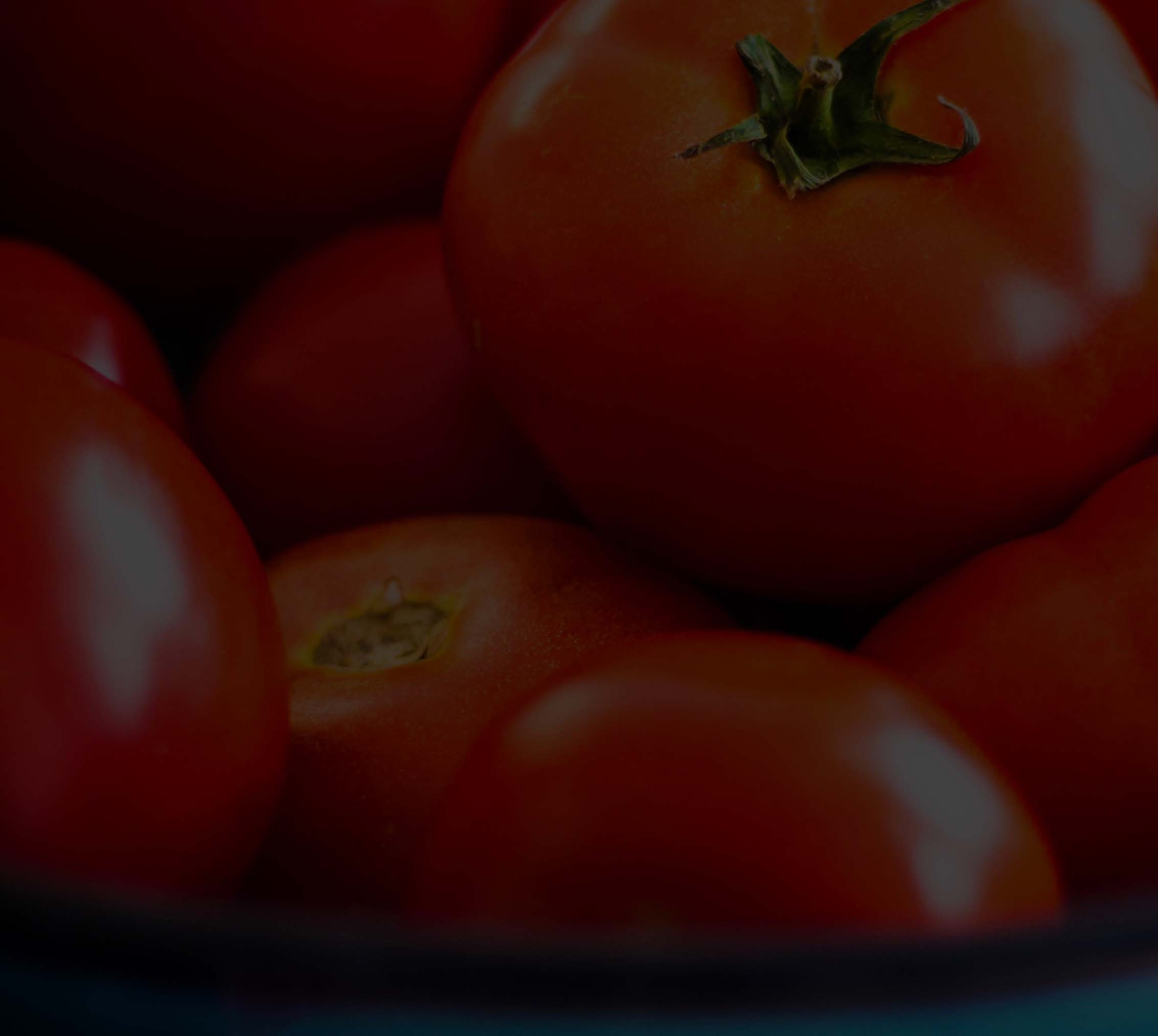 POMODORO- TEKNIIKKA Työretriitillä työskentelyä Pomodoro tekniikalla, jonka tapa on rytmittää työskentelyä.