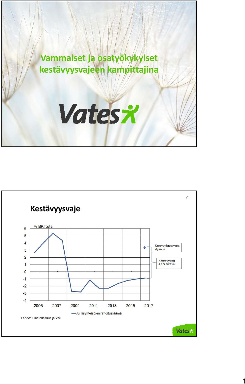 Kestävyysvaje 2 %, jäämä/bkt