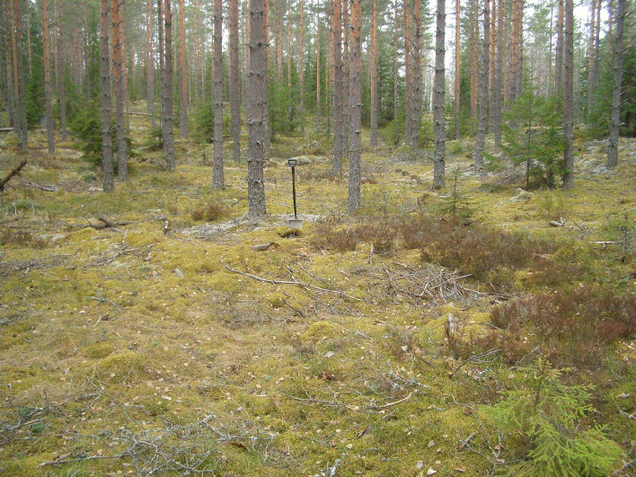 14 Kartalla sininen piste. Sen kaakkoispuolella on harjunrinteessä lukuisia kuoppia (pun.