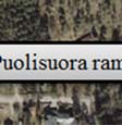 13 2.2 Rampit Päätien ja risteävän tien välinenn liikenne kulkee erkanemis- ja liittymisramppien kaut- liit- ta.