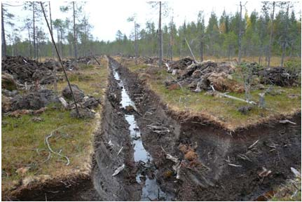 Kunnostusojituskelpoisuus 1 Kunnostusojituskelpoinen metsikkö: Kunnostusojitusinvestointi on taloudellisesti tarkoituksenmukainen nykyisen puusukupolven kasvattamiseksi uudistuskypsäksi puustoksi