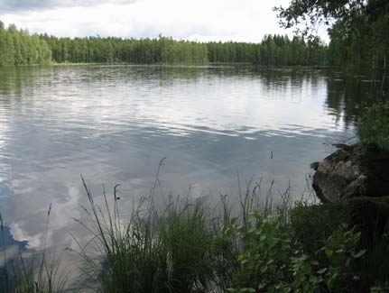 4 MAASTOKARTOITUKSET 67070391.BJ Luontoselvitys tehtiin yleiskaavaa varten vaadittavalla tarkkuudella Suomen ympäristökeskuksen ohjetta soveltaen (Söderman 2003).