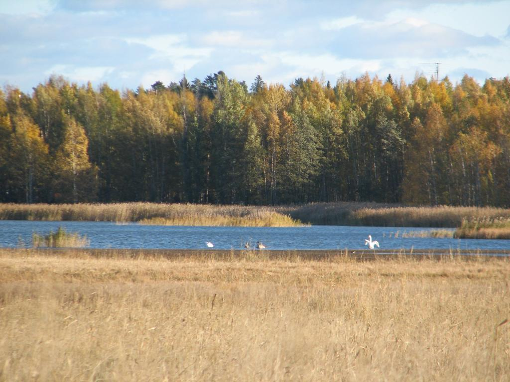 Keskustelun aiheita Riittääkö tämä? Mitkä ovat ympäristöä tutkivien mallittajien tarpeet? Mikä on mallittajien tarpeiden aikataulu?