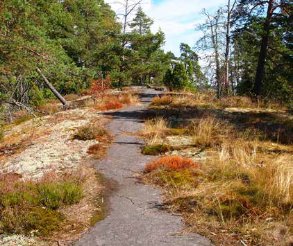 Ekosysteemipalvelut Luonto tuottaa ekosysteemipalveluja, joista osa on aineellisia ja osa aineettomia.