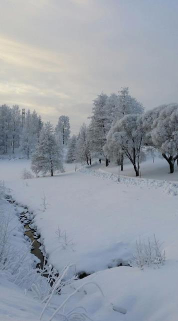 ITE SE ON POLKU POLETTAVA