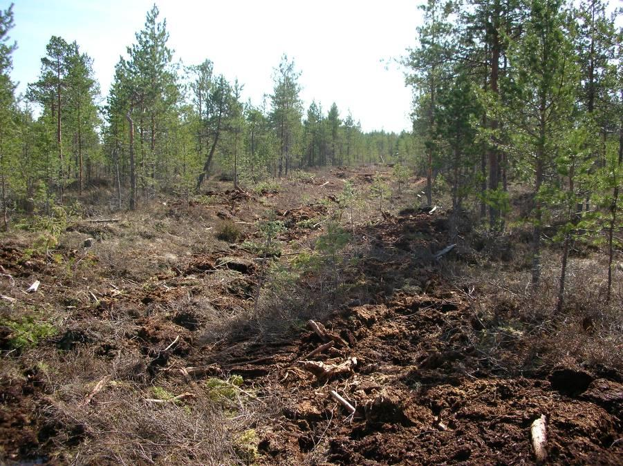 Kuva: Vapo Oy, Lauri Ijäs Yhä useammin joudutaan turvautumaan metsäojitettuihin alueisiin, kun sopivia ojittamattomia alueita ei ole