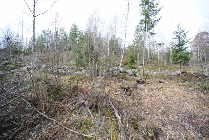 13 Kuva 3. Kukolan kiviaita rinteen suunnalta luoteesta. NW. Huhtikuu 2014. K.Uotila / Muuritutkimus.