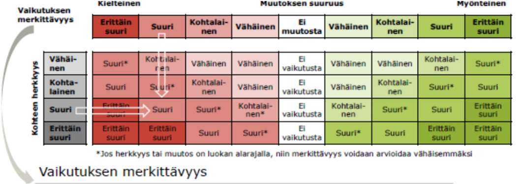 Case Vt 4 Vehniä - Äänekoski Vaikutusten merkittävyyden